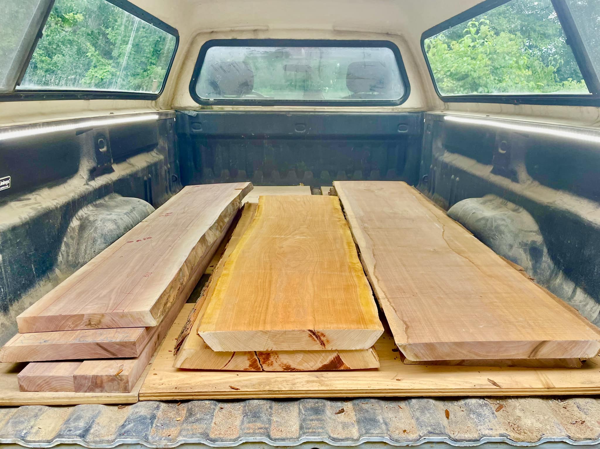 Fresh Slabs Ready for Drying